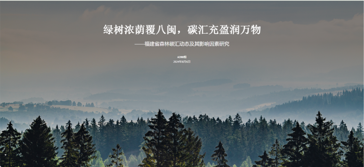 【2024地图故事组一等奖】绿树浓荫覆八闽，碳汇充盈润万物——福建省森林碳汇动态及其影响因素研究